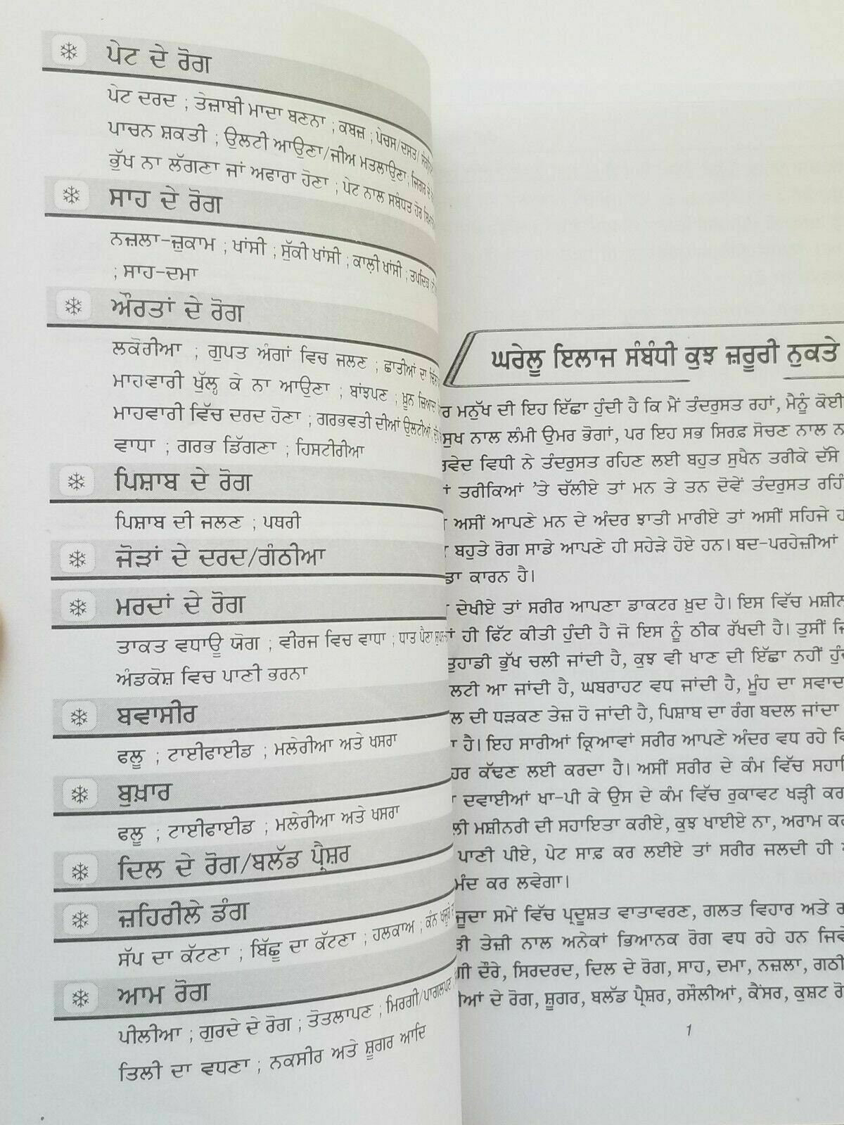 Home remedies desi gharogi nuskhay punjabi book to cure diseases at home new B33