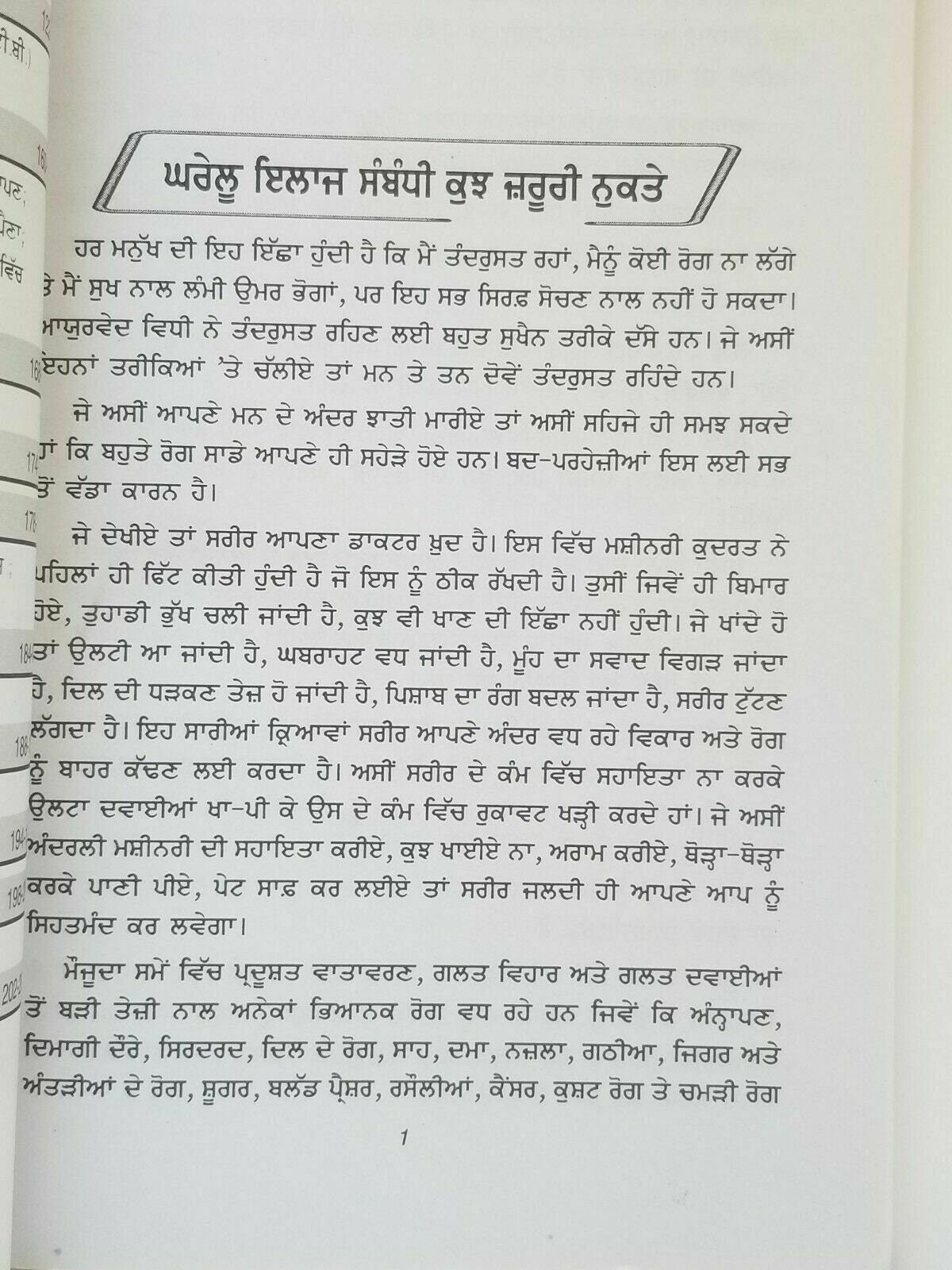 Home remedies desi gharogi nuskhay punjabi book to cure diseases at home new B33