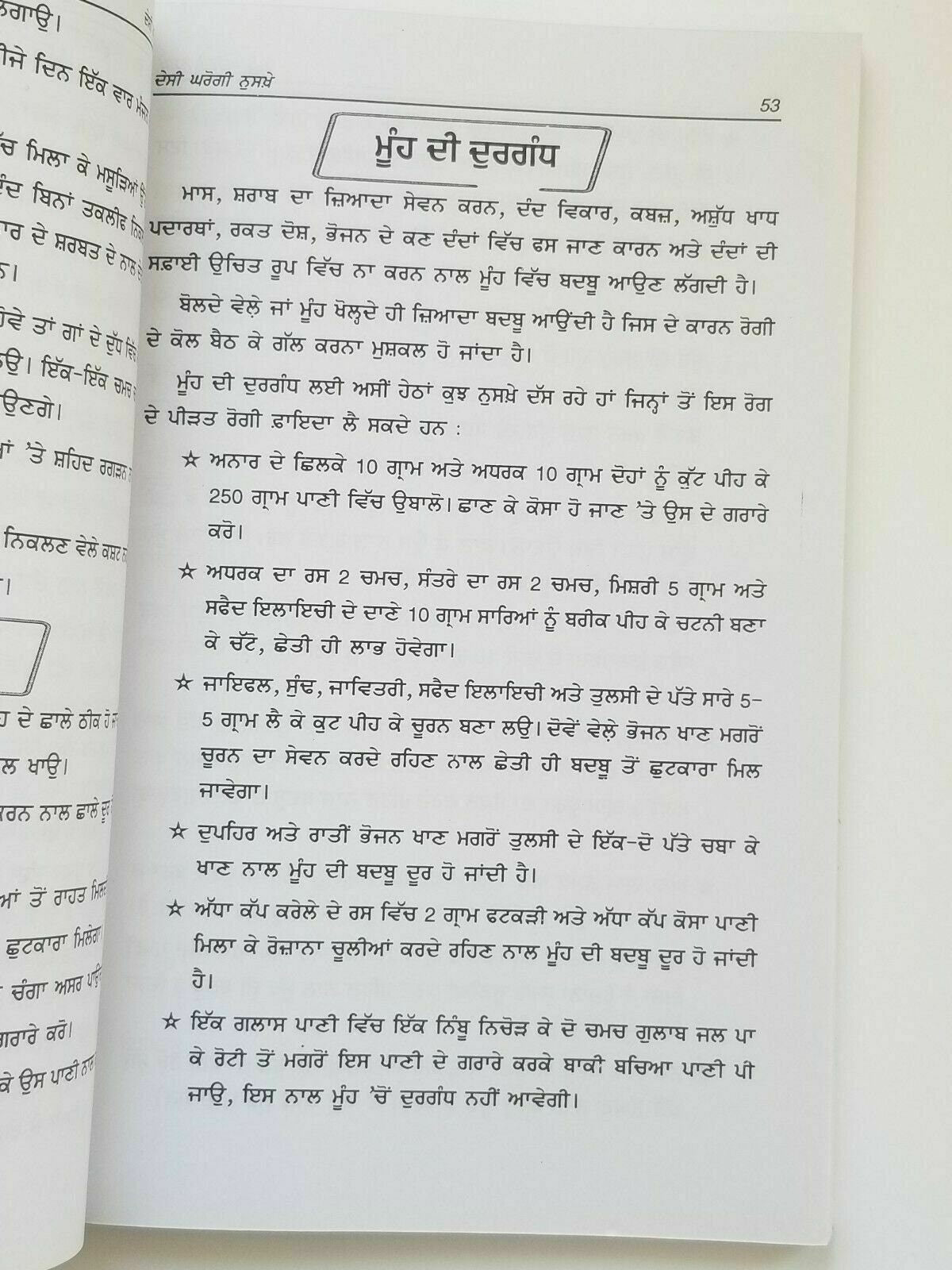 Home remedies desi gharogi nuskhay punjabi book to cure diseases at home new B33