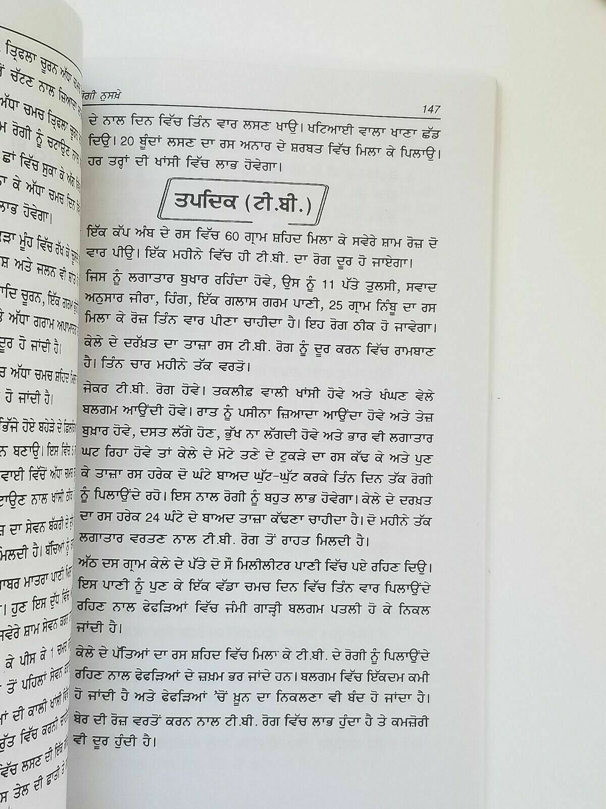 Home remedies desi gharogi nuskhay punjabi book to cure diseases at home new B33
