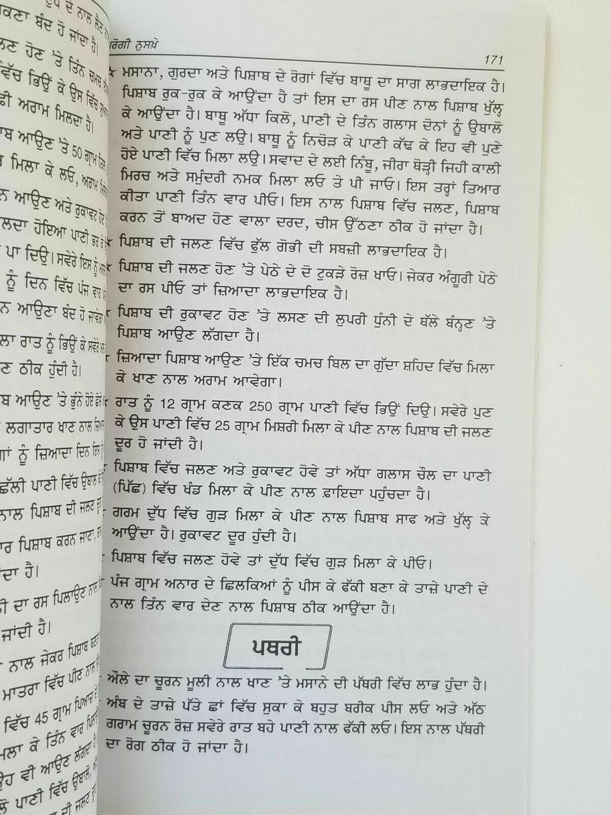 Home remedies desi gharogi nuskhay punjabi book to cure diseases at home new B33