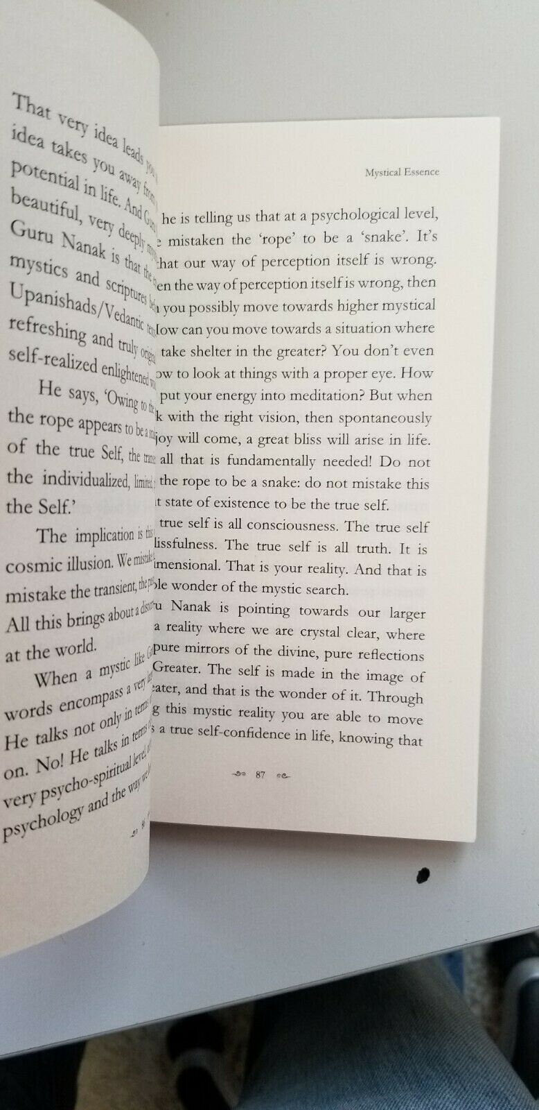 Guru Nanak Greatest Spiritual Wisdom English Book Sikh Teachings Pranay Khalsa B44