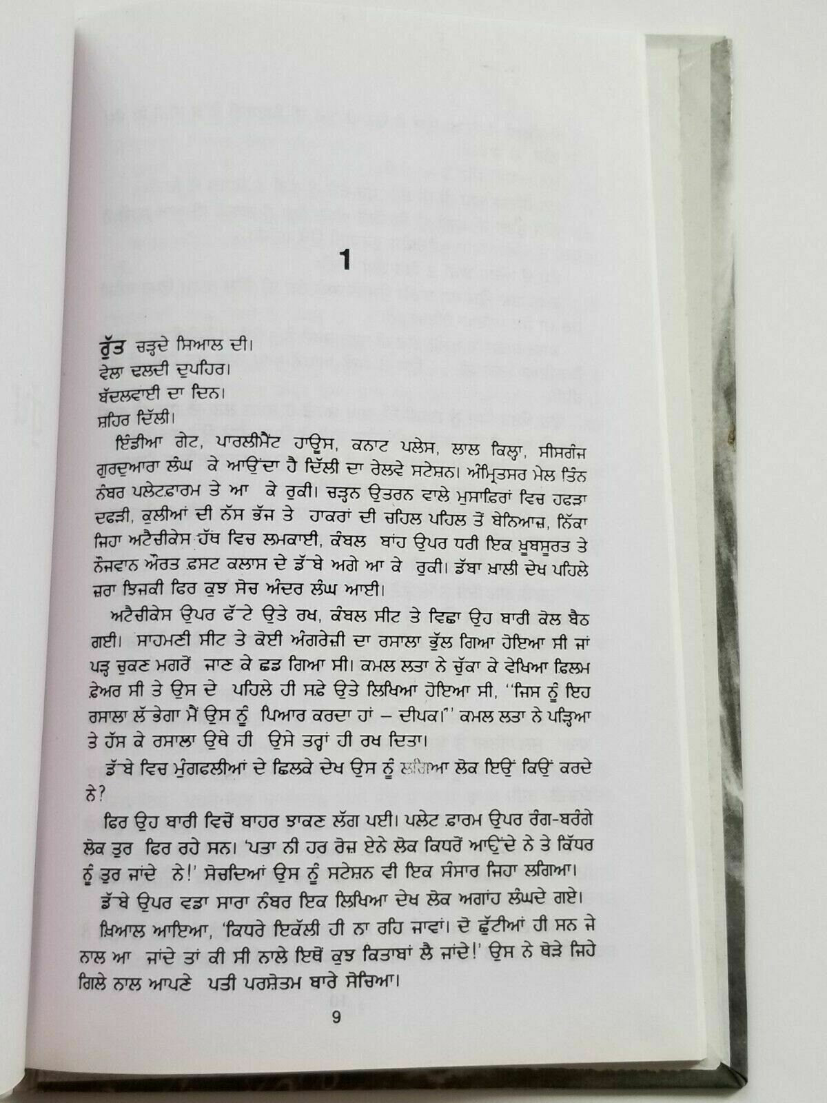 Dhupp chhaan te rukh punjabi fiction novel by dalip kaur tiwana panjabi b5 new