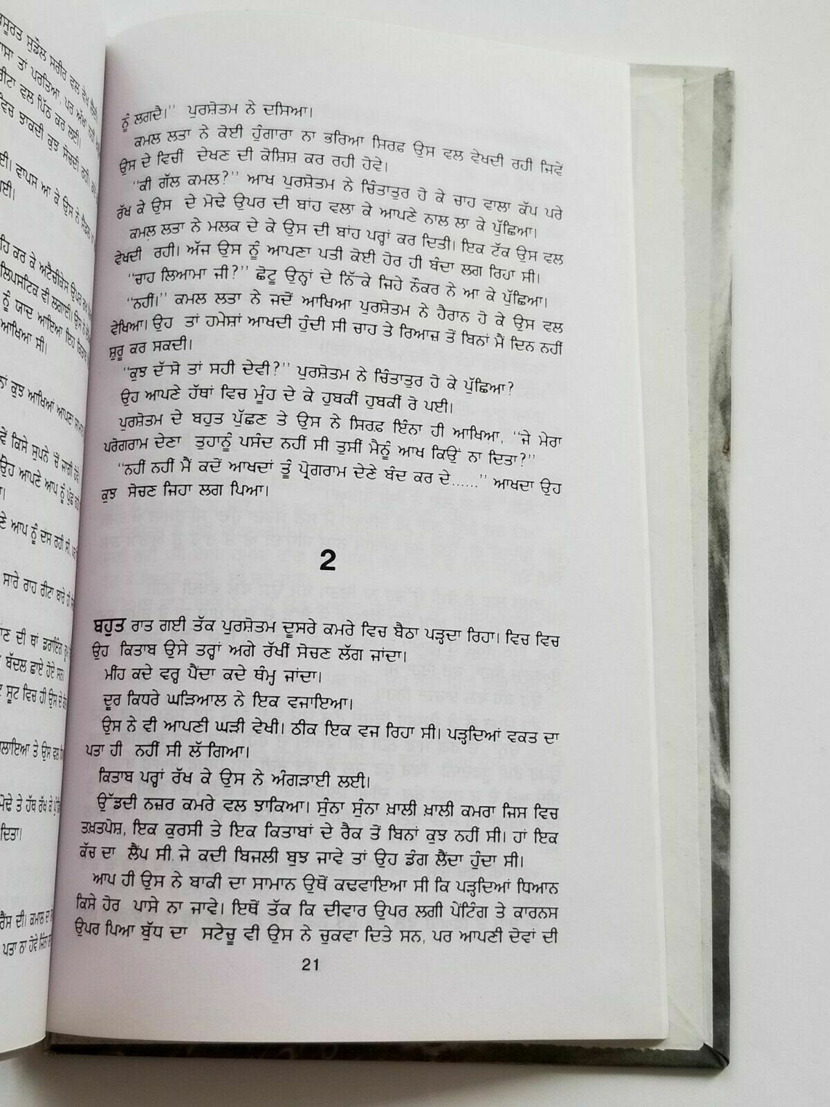 Dhupp chhaan te rukh punjabi fiction novel by dalip kaur tiwana panjabi b5 new