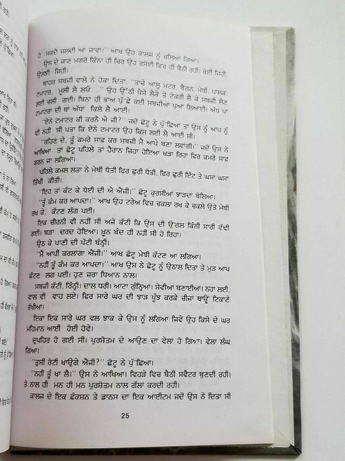 Dhupp chhaan te rukh punjabi fiction novel by dalip kaur tiwana panjabi b5 new
