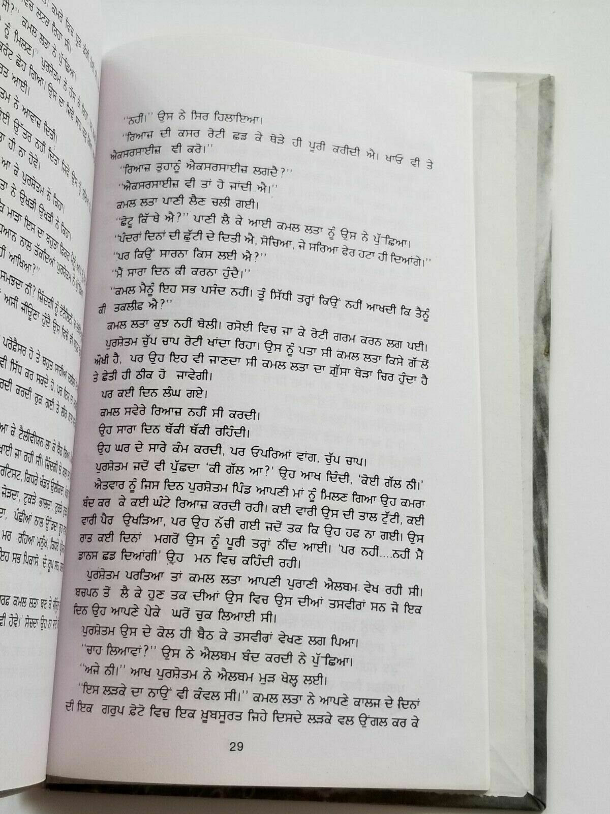 Dhupp chhaan te rukh punjabi fiction novel by dalip kaur tiwana panjabi b5 new