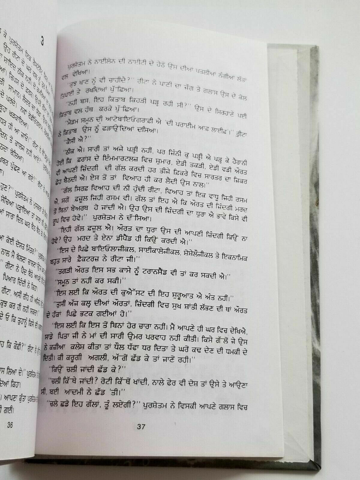 Dhupp chhaan te rukh punjabi fiction novel by dalip kaur tiwana panjabi b5 new