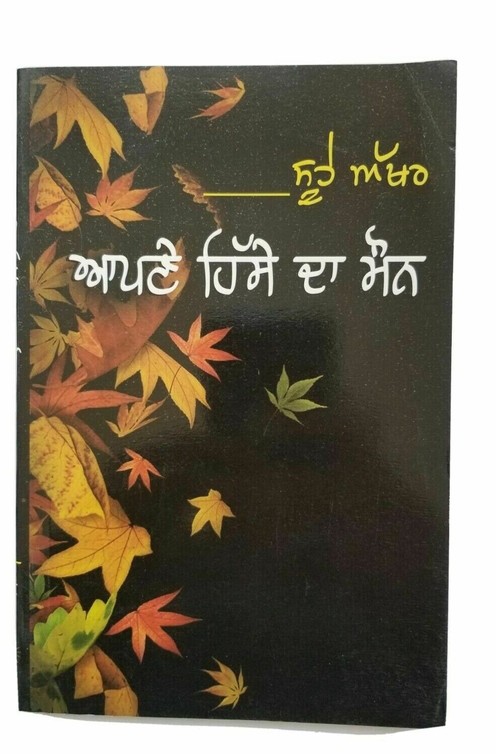 Soohe akhar apnay hissay da maun punjabi famous poems poetry sukhvir singh book