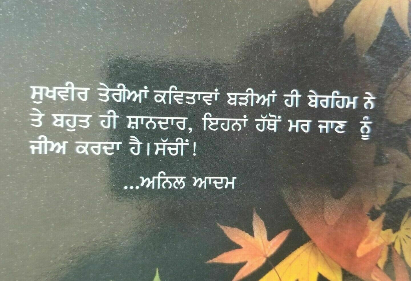 Soohe akhar apnay hissay da maun punjabi famous poems poetry sukhvir singh book