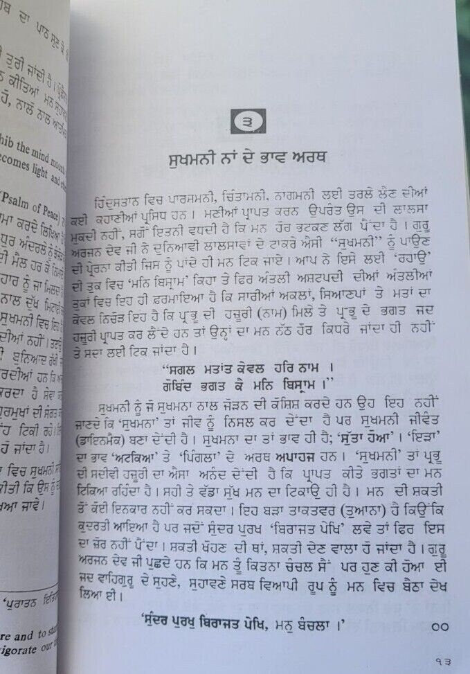 Man bisram sukhmani sahib da saar visthar meaning satbir singh punjabi sikh book