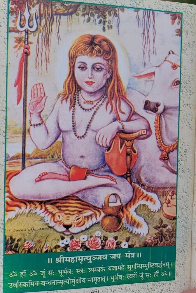 Aarti sangrah collection of aarti with mantras evil eye protection hindu book mc