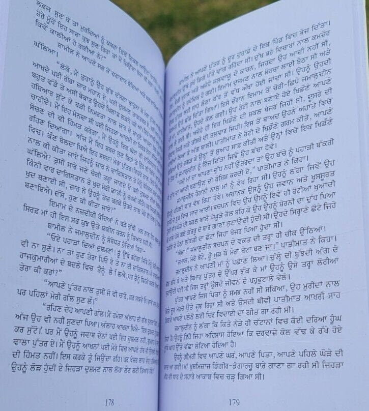 Mera Dagestan Part-2 by Rasul Gamzatov Punjabi Literature Panjabi Book MB New