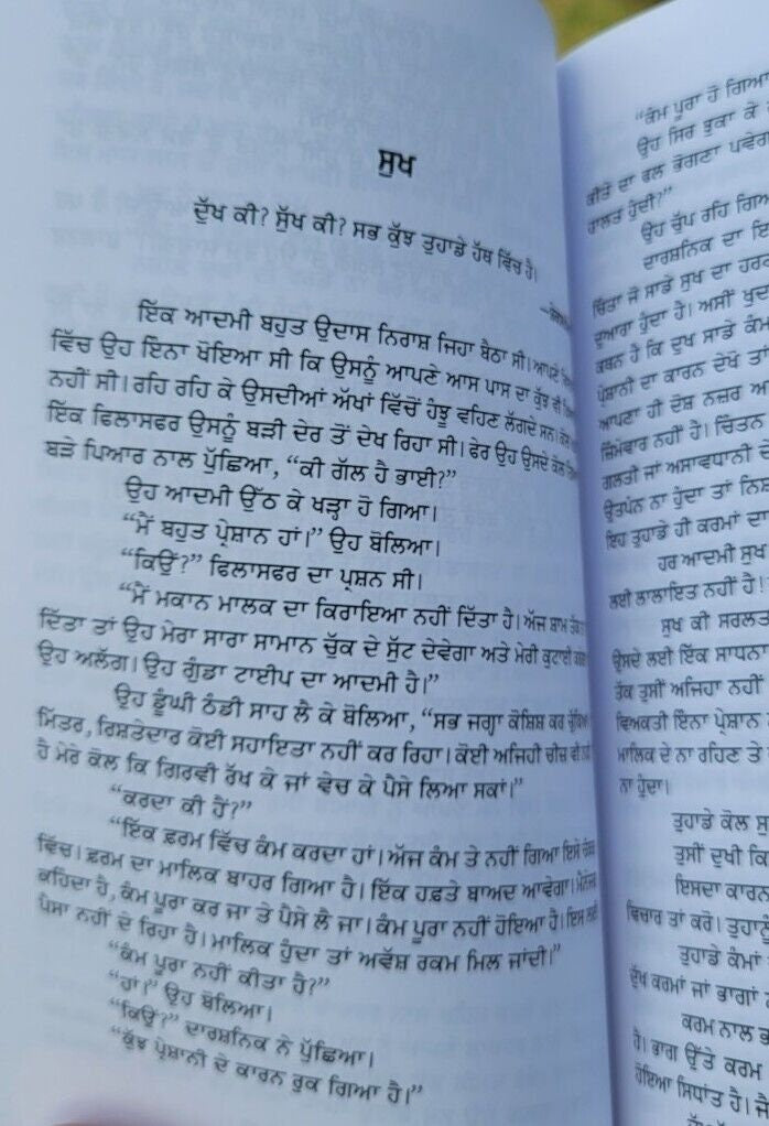 Jitt dian Rahan Te Swett Marden Inspirational Book Punjabi Motivation B45 New