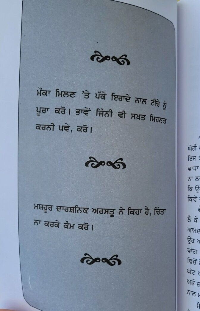 Mein chinta te jitt kiven paaey dale carnegie self improvement book punjabi b65