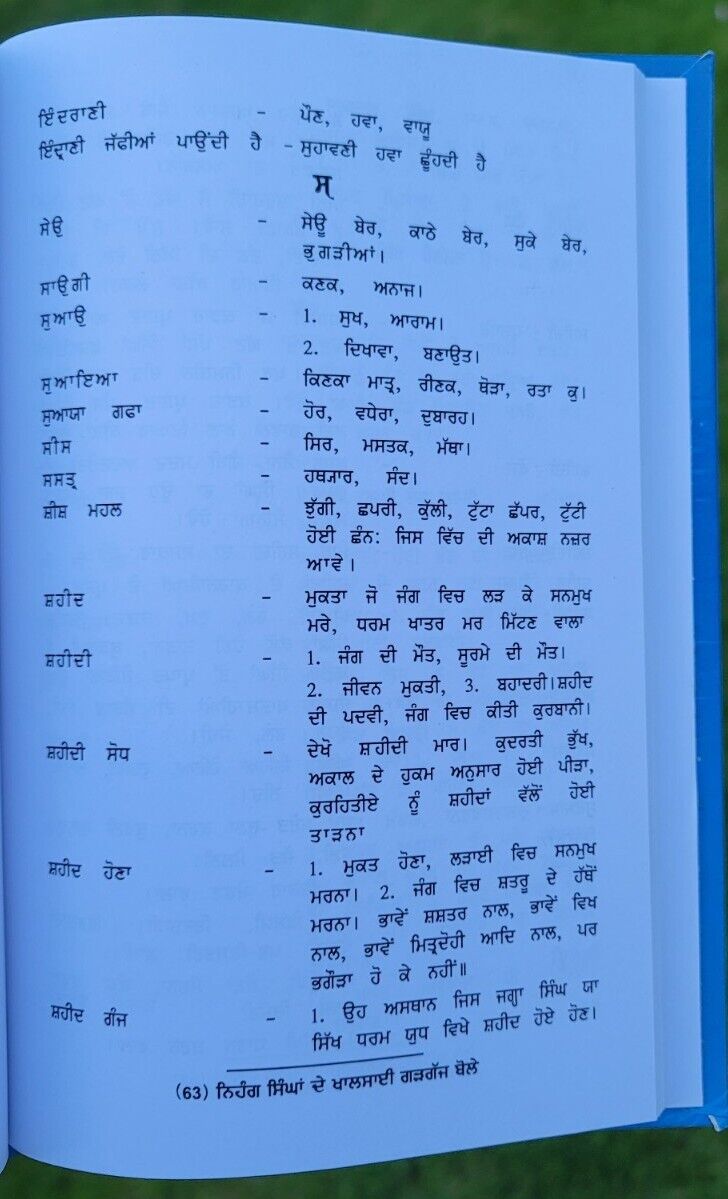 Nihang Singha De Khalsai Gargaj Bolay Daljit Singh Bedi Punjabi Sikh book MC New