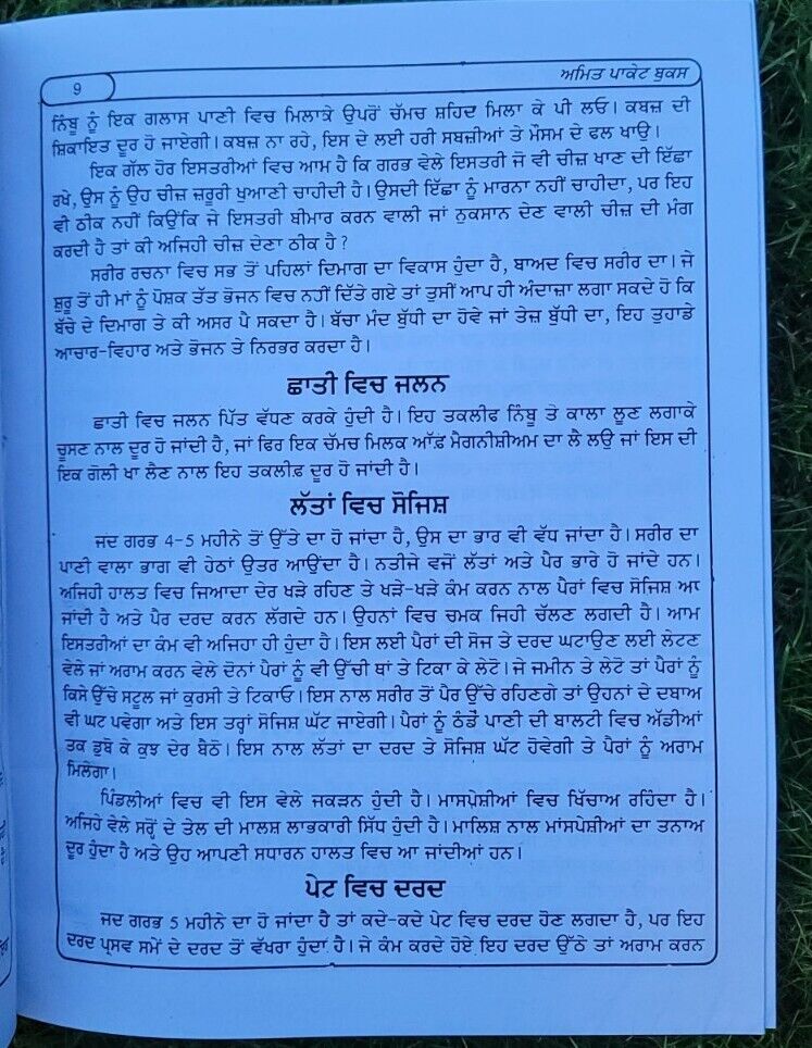Garab Awastha Pregnancy and Looking after Baby Learning Antique Punjabi Book MC