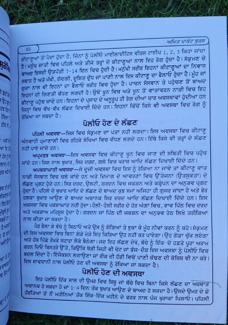 Garab Awastha Pregnancy and Looking after Baby Learning Antique Punjabi Book MC