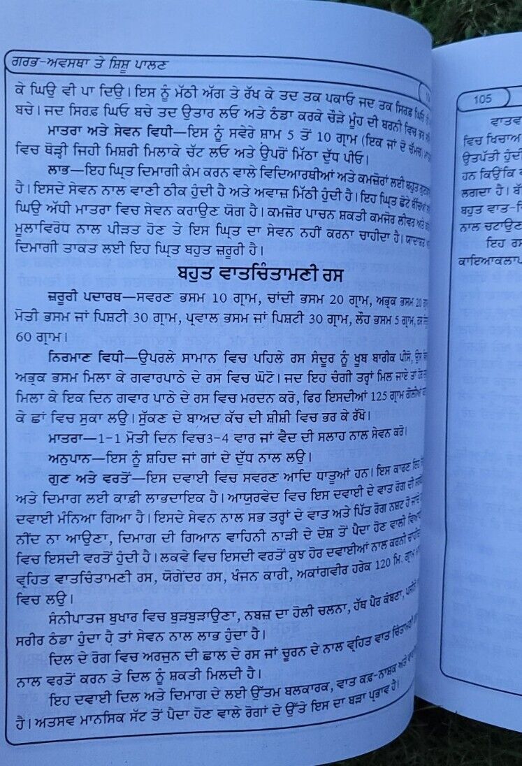 Garab Awastha Pregnancy and Looking after Baby Learning Antique Punjabi Book MC
