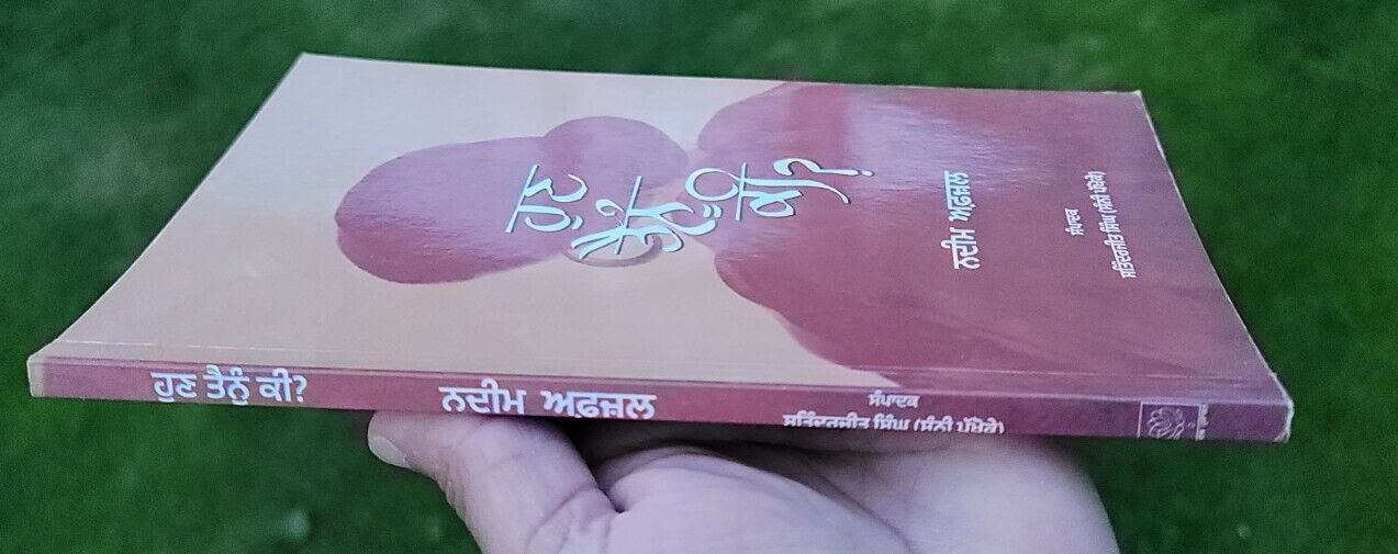 Hunn Tenu Ki? Famous Poetry book by Nadeem Afzal Pakistan Punjabi Poems Gurmukhi