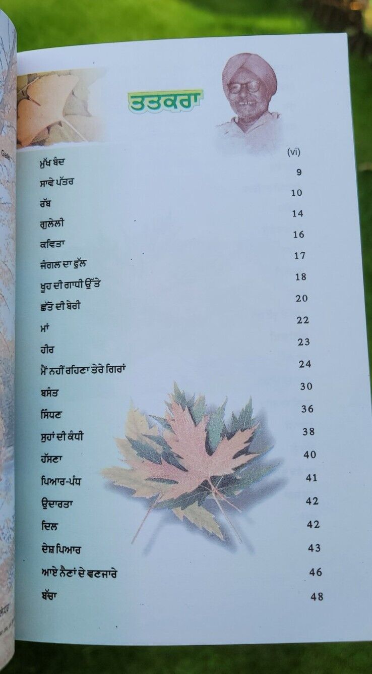 Savay Pattar famous Punjabi Poems poetry Prof Mohan Singh A Level book Panjabi MD