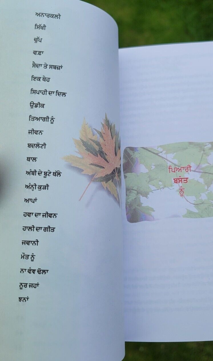 Savay Pattar famous Punjabi Poems poetry Prof Mohan Singh A Level book Panjabi MD