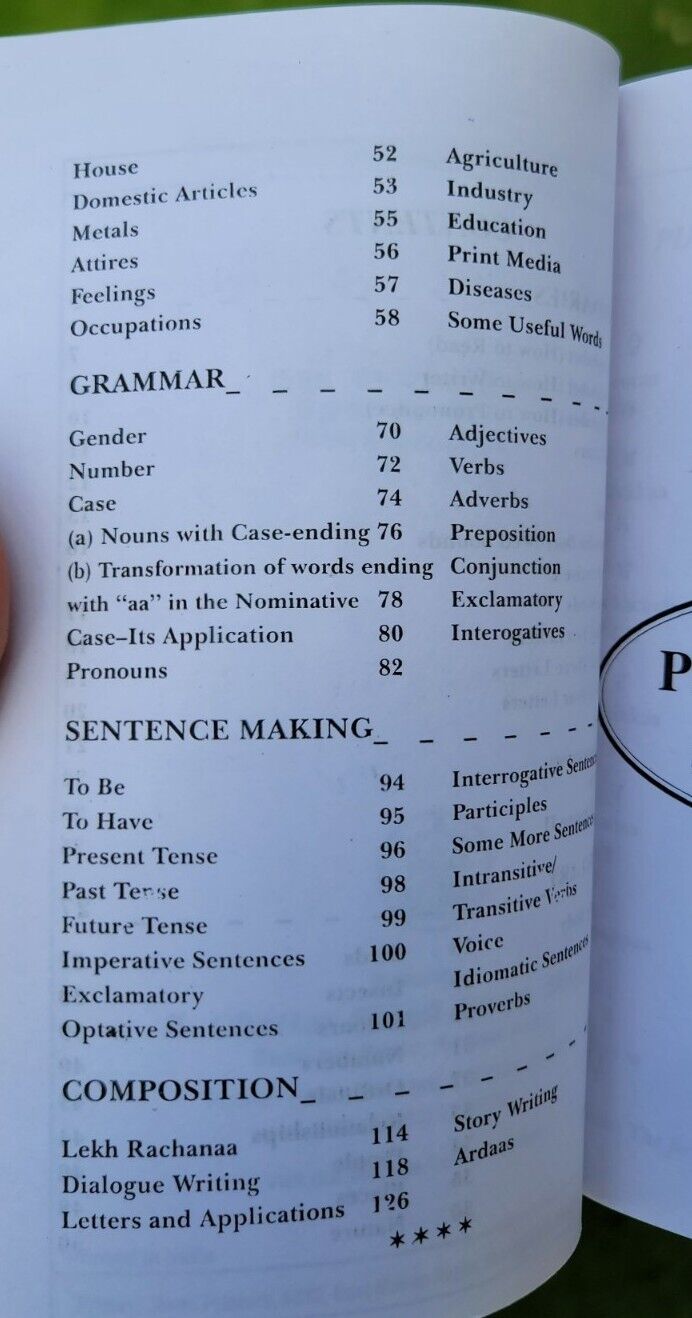 Learn Punjabi in 25 Days Book English Punjabi Gurmukhi Guide Language Course HH