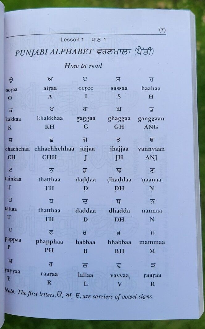 Learn Punjabi in 25 Days Book English Punjabi Gurmukhi Guide Language Course HH