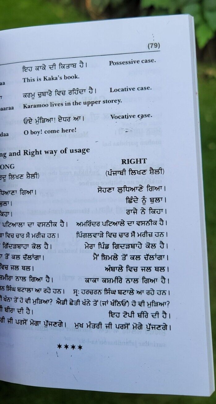 Learn Punjabi in 25 Days Book English Punjabi Gurmukhi Guide Language Course HH