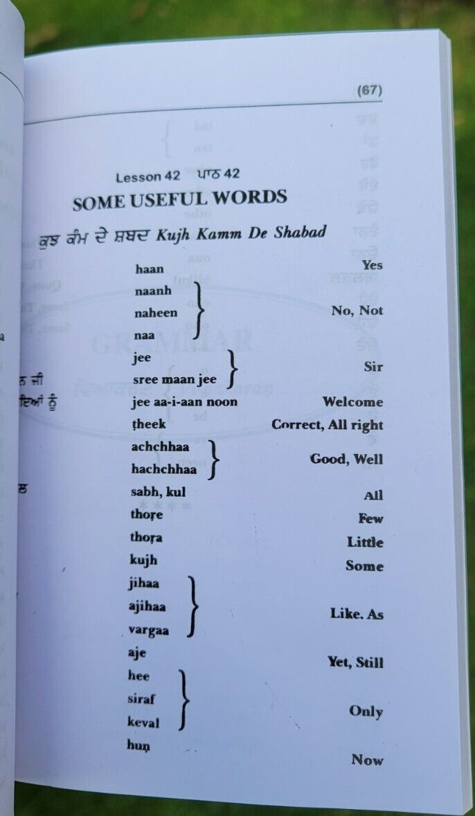 Learn Punjabi in 25 Days Book English Punjabi Gurmukhi Guide Language Course HH