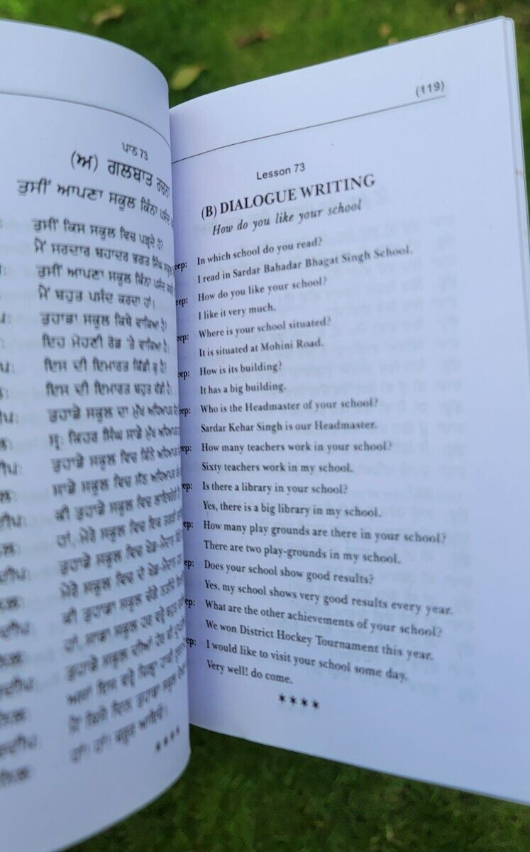 Learn Punjabi in 25 Days Book English Punjabi Gurmukhi Guide Language Course HH