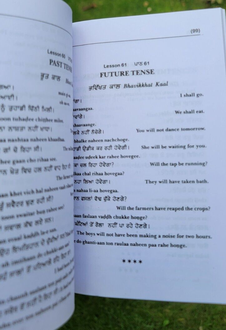 Learn Punjabi in 25 Days Book English Punjabi Gurmukhi Guide Language Course HH