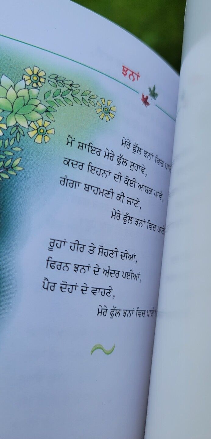 Savay Pattar famous Punjabi Poems poetry Prof Mohan Singh A Level book Panjabi MD