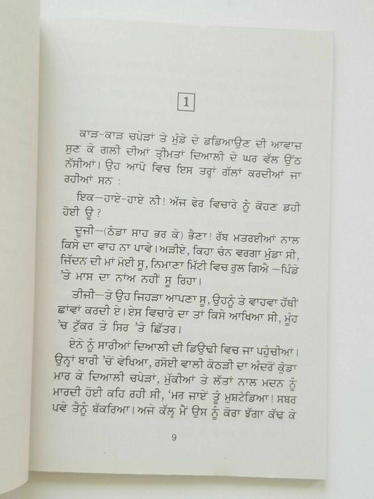Matraye maa nanak singh indian punjabi reading literature panjabi book b19 new
