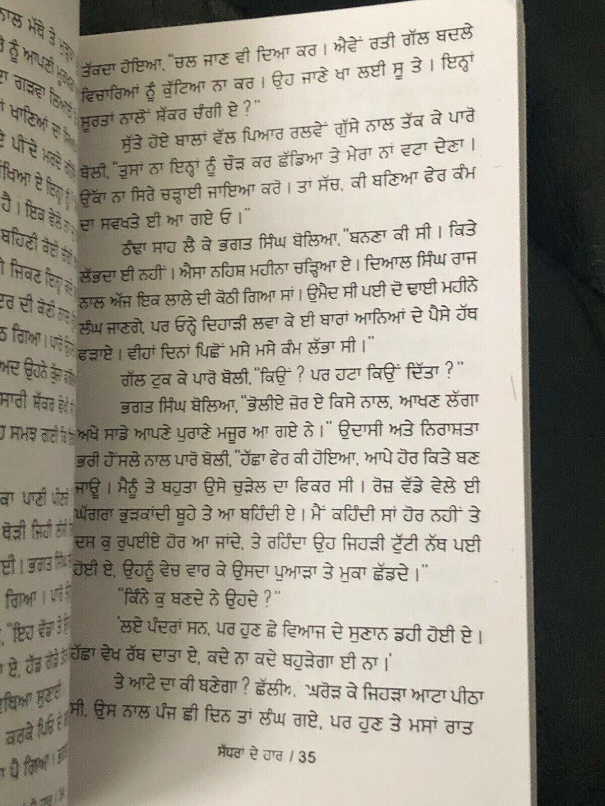 Sadhran de haar stories by nanak singh indian punjabi reading literature book b4