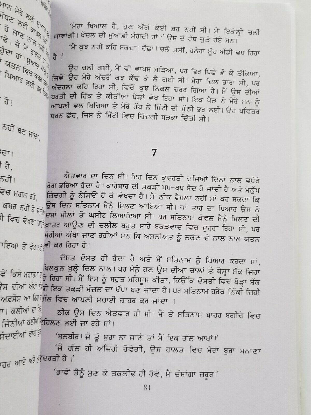 Pali novel jaswant singh kanwal punjabi gurmukhi reading literature book b31 new