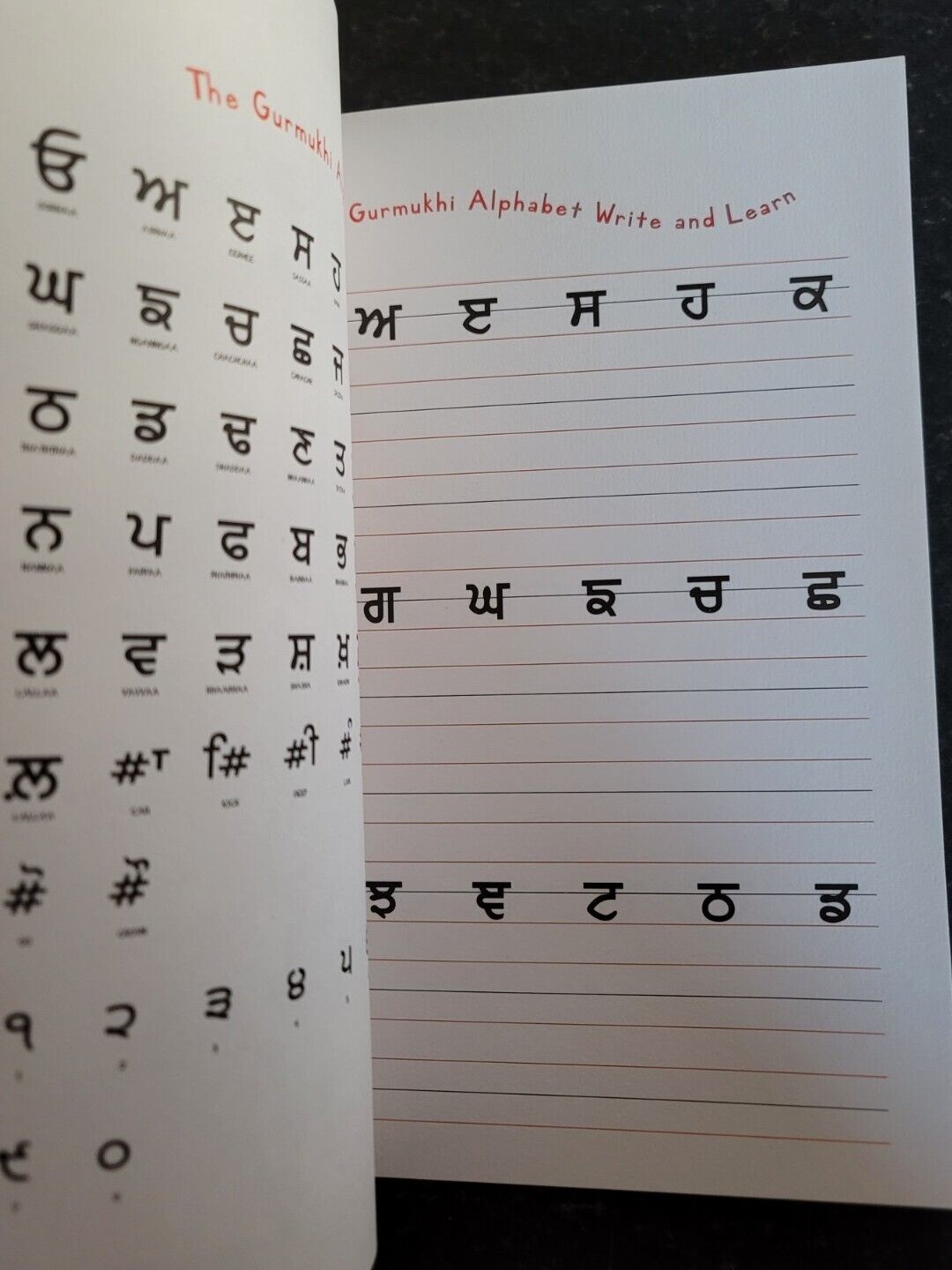 My Little Sikh Handbook Ardas Artika Aurora Bakshi Activities Book English MC