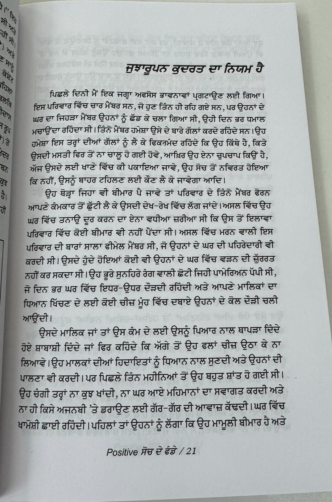 Positive So De Funde by N Raghuraman Be Positive Be Happy Art Punjabi Book New
