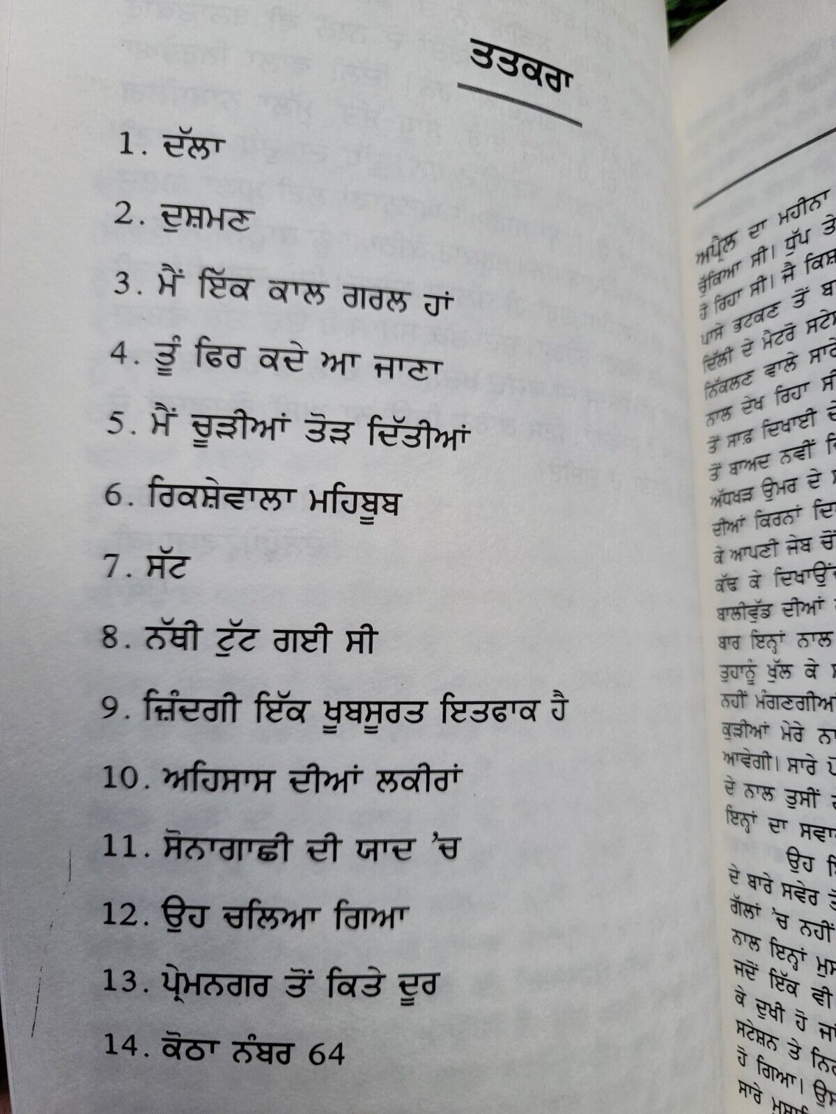 Kotha Number 64 Book on Life of Sex Workers G B Road Night Punjabi New Book STOR