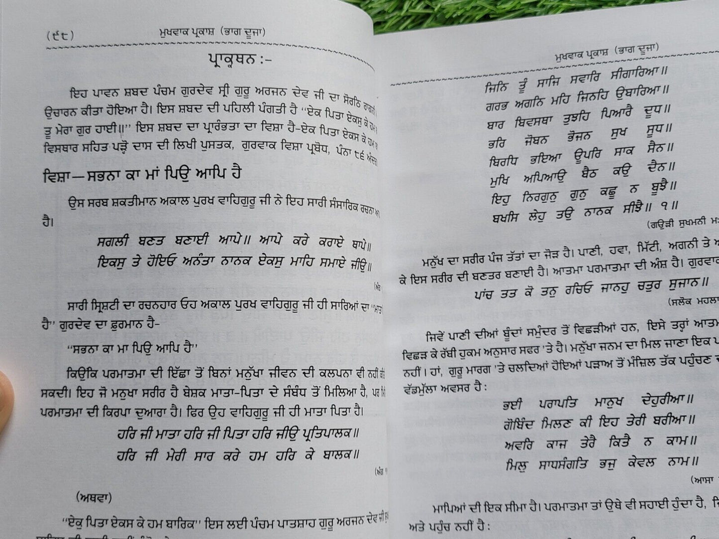 Mukh Vaak Parkash Hukamnamya di Viyakhya Granthi Giyani Mall Singh Punjabi Book