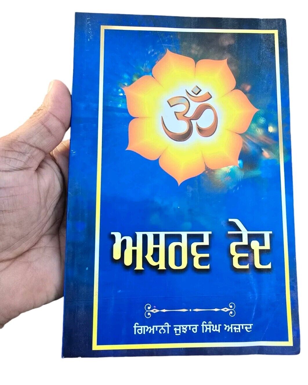 Atharv ved Ancient Hindu Granth Scripture Vedas Punjabi explanation Book STOR