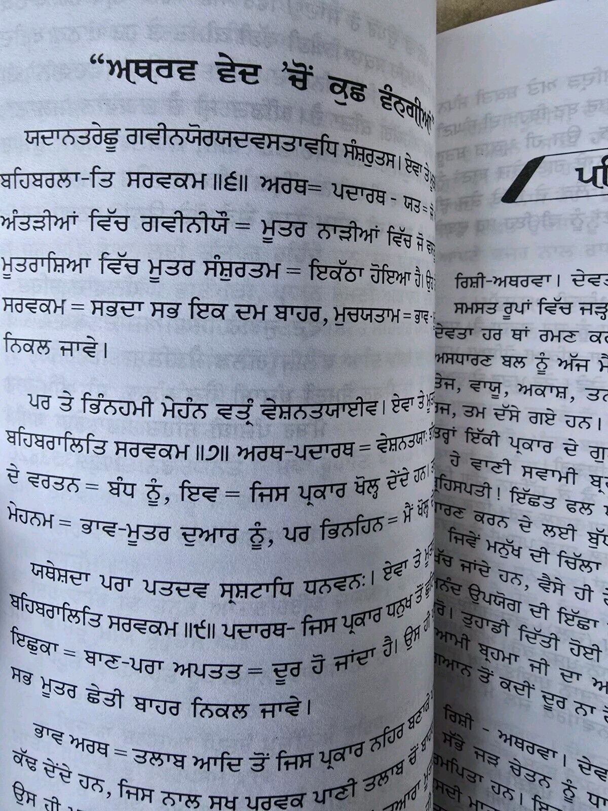 Atharv ved Ancient Hindu Granth Scripture Vedas Punjabi explanation Book STOR