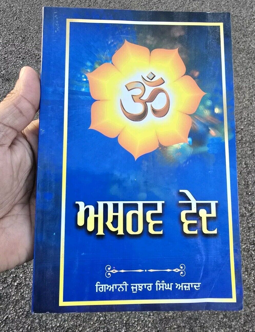 Atharv ved Ancient Hindu Granth Scripture Vedas Punjabi explanation Book STOR