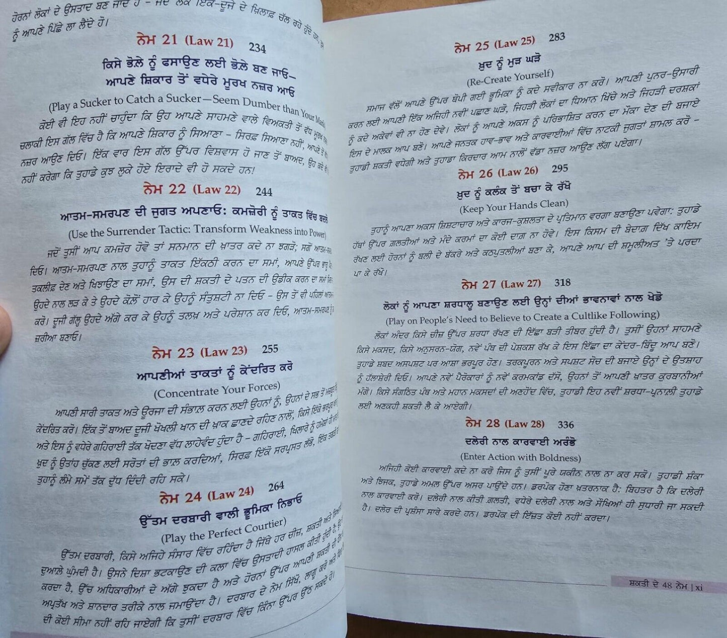 48 Laws of Power Punjabi Book Robert Greene Shakti de 48 Name Gurmukhi Panjabi A21