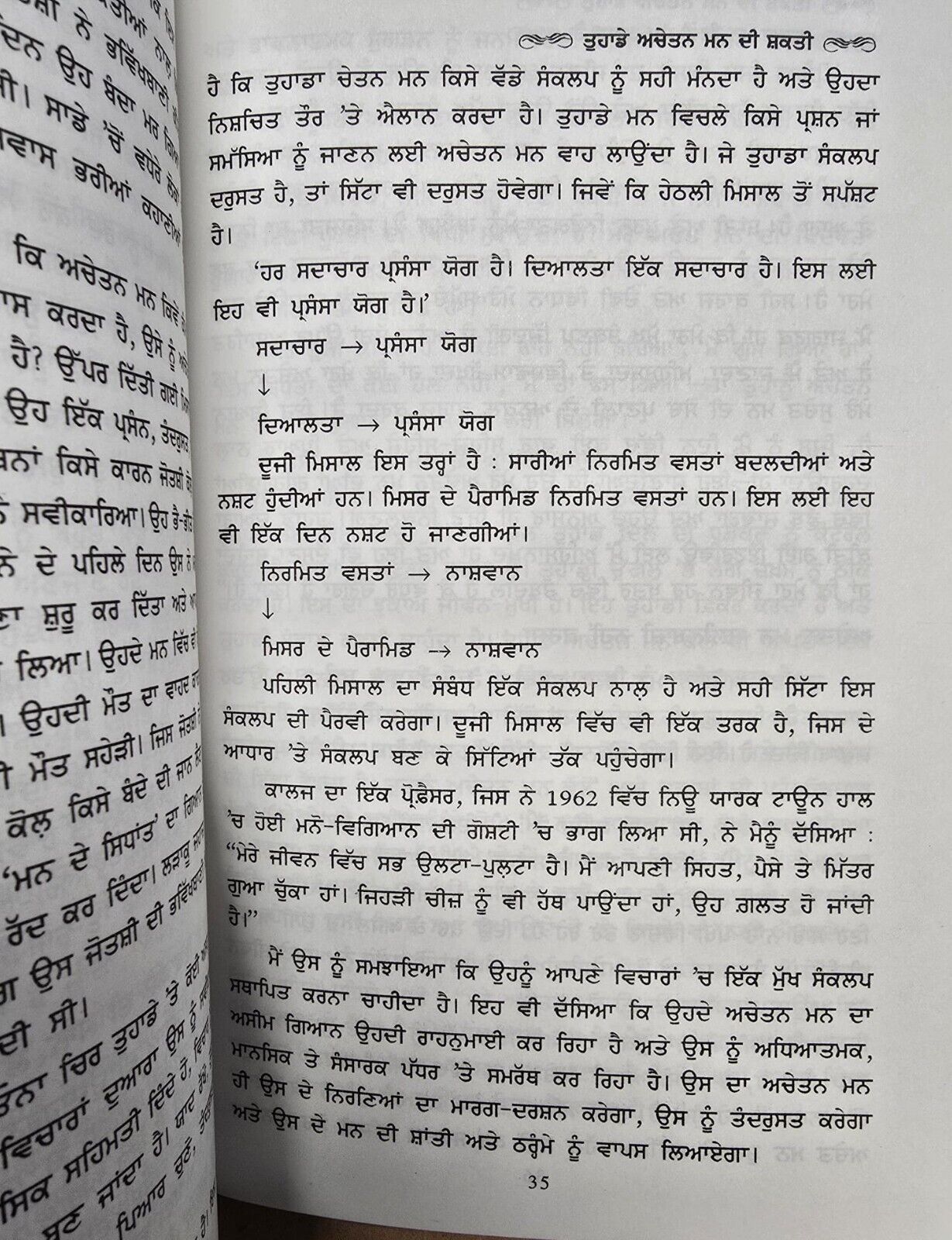 The Power of your Subconscious Mind Gurmukhi Punjabi Joseph Murphy Book Achetan