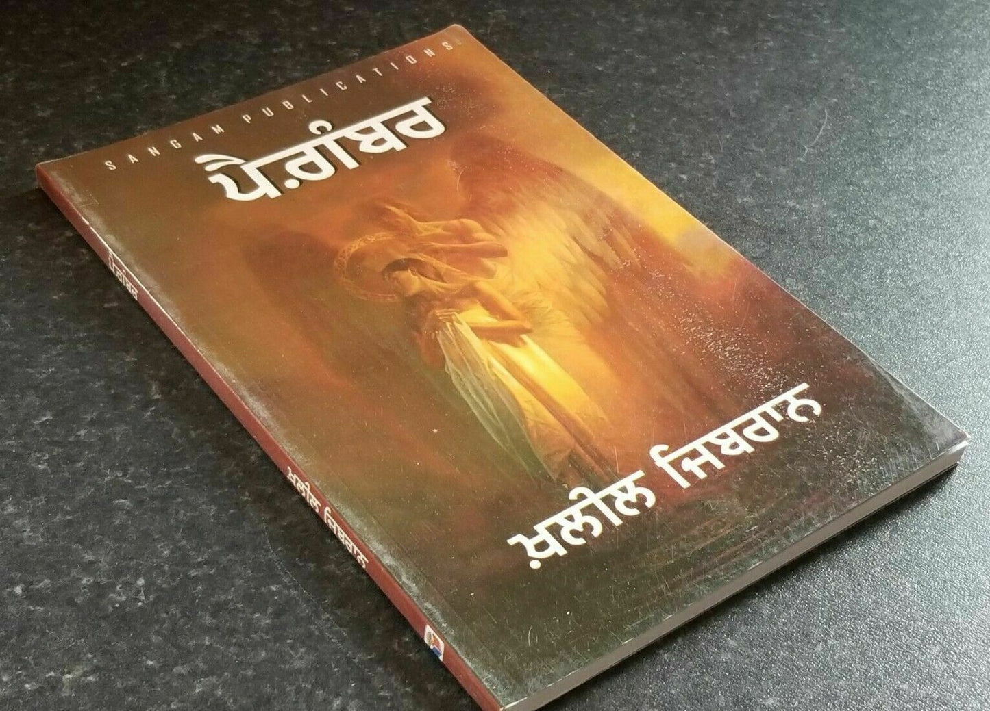 Pagaimbar The Prophet by Kahlil Gibran in Punjabi Reading Prose Panjabi Book B52