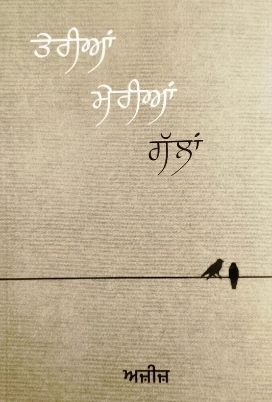 Teria Meria Galla Punjabi Poetry Book Aziz Gurmukhi Poems Famous Panjabi Poetry