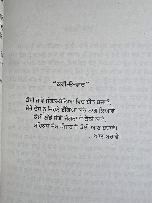 Chaali Din Novel by Gurpreet Singh Dhugga Indian Punjabi Gurmukhi Panjabi New B62