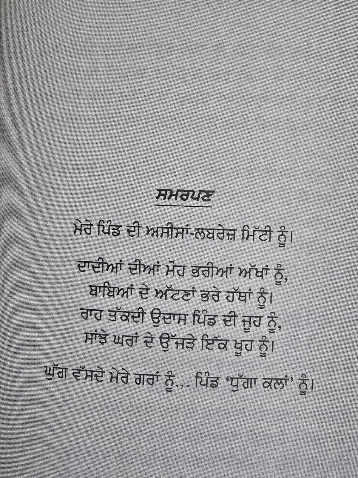 Chaali Din Novel by Gurpreet Singh Dhugga Indian Punjabi Gurmukhi Panjabi New B62