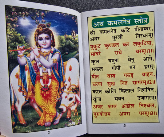 Kamalnetar Satotar Pocket Book Hindi Nagleela Krishan Chalisa Aarti Photo Hindu