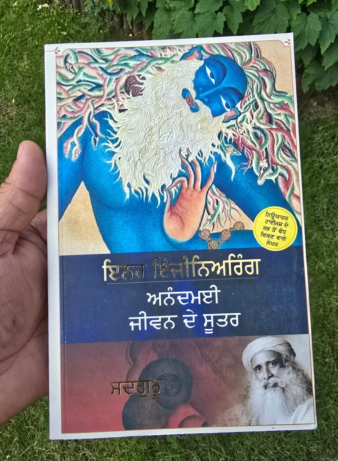Sadhguru Inner Engineering A Jogi's Guide to Joy Punjabi book Literature B67 New